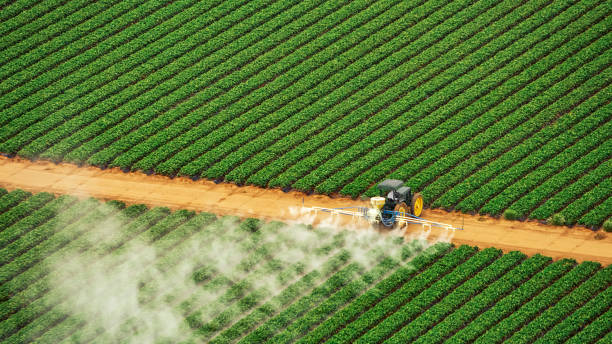 Best Commercial Pest Control Services  in Wchester, IN