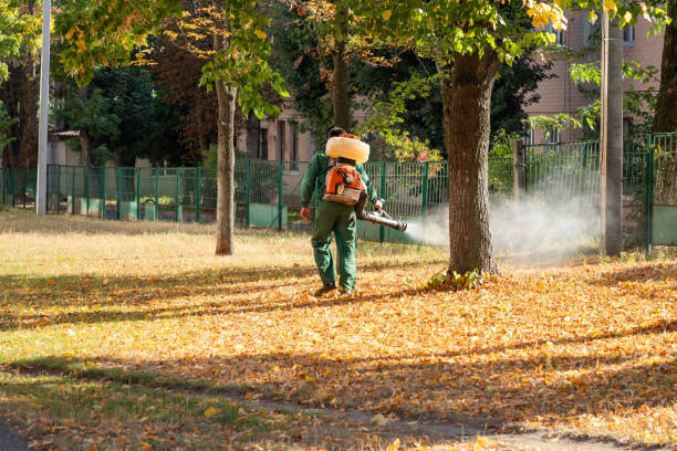 Wasp Removal Services in Winchester, IN