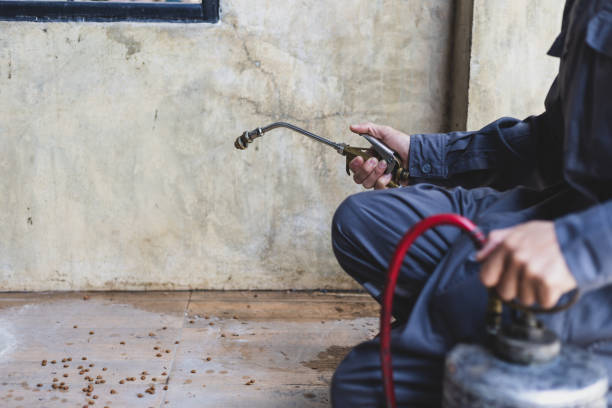 Best Pest Inspection Near Me  in Wchester, IN
