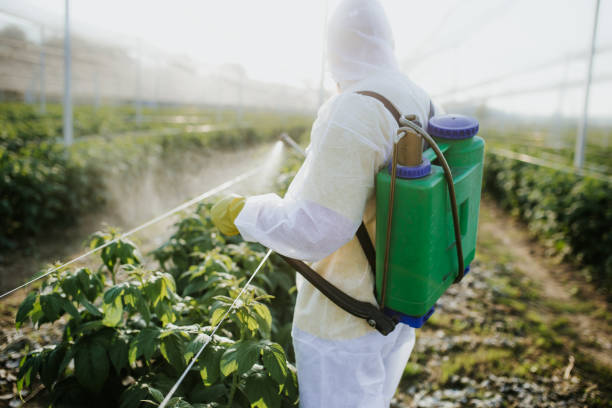 Best Pest Control Near Me  in Wchester, IN